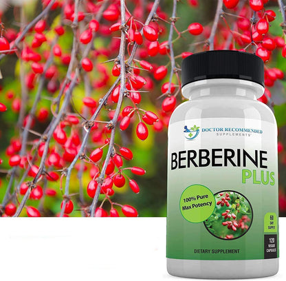 DOCTOR RECOMMENDED SUPPLEMENTS Berberine Plus 1200mg Per Serving - 120 Veggie Capsules with Royal Jelly