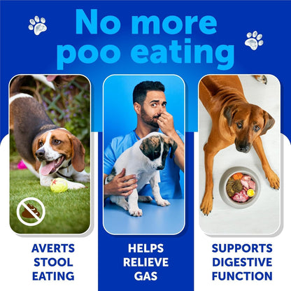 No Poo Chews for Dogs, Puppy - Coprophagia Stool Eating Deterrent - Prevent Dog from Eating Poop - Stop Eating Poop Treats with Probiotics & Enzymes - Immune, Digestive, Gut Health Support Supplement