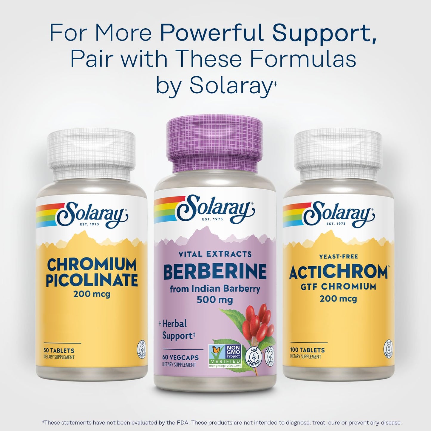 SOLARAY Berberine 500mg - Berberine Supplement for a Healthy, Active Lifestyle - with Berberine HCl from Indian Barberry - Vegan, Non-GMO, 60-Day Guarantee, Lab Verified - 100 Servings, 100 VegCaps