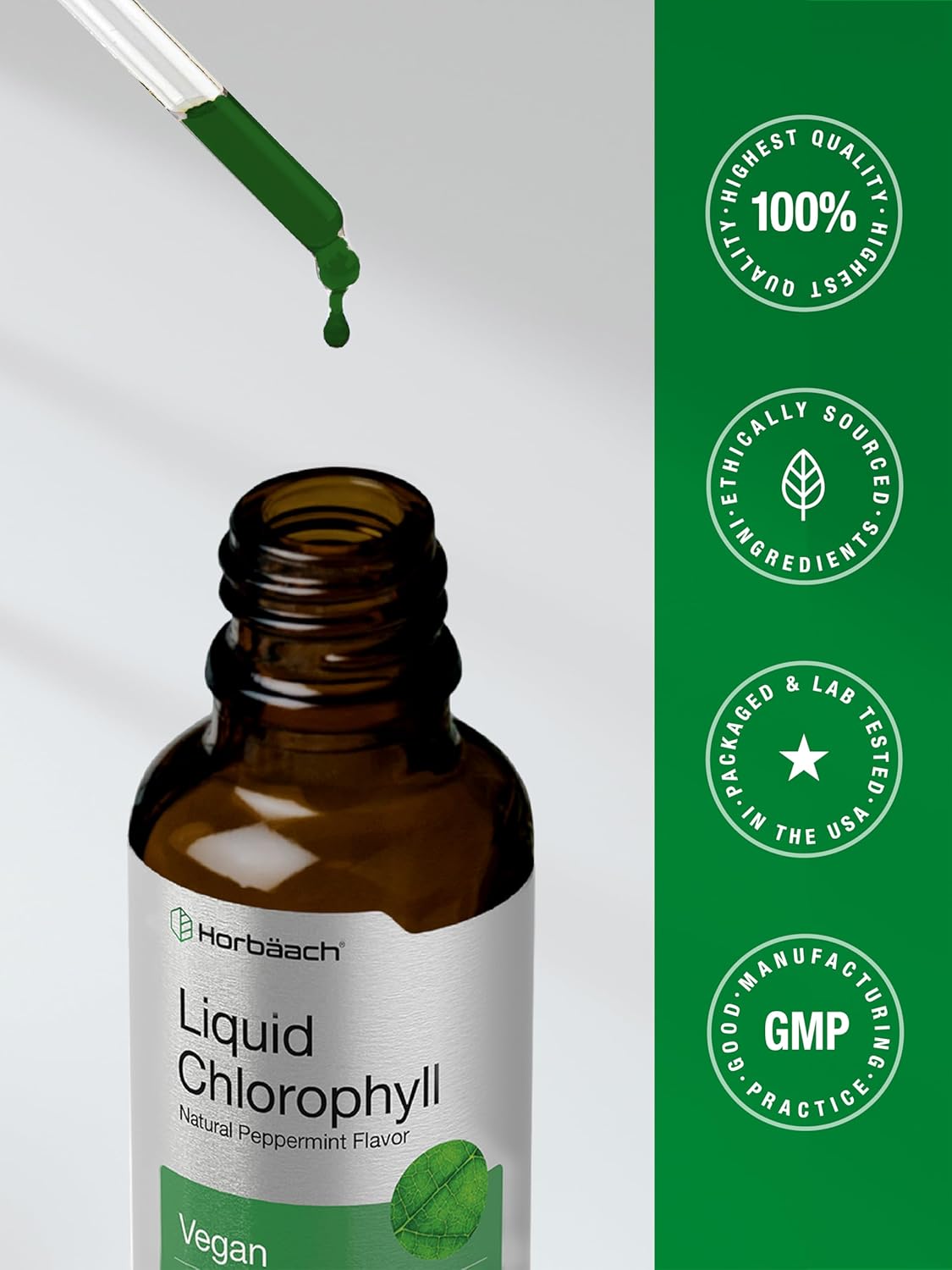 Horbäach Liquid Chlorophyll Drops | 2 fl oz | Natural Peppermint Flavor | Vegan, Non-GMO & Gluten Free Formula