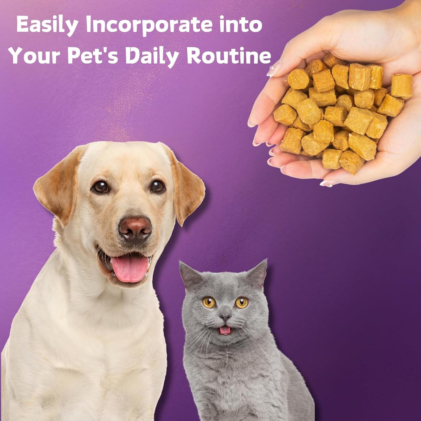NATURE TARGET Probiotics for Dogs, 6 Billion CFUs, Freeze Dried, 180 Chews | 12 Strains with Prebiotics & Digestive Enzymes, Diarrhea & Gas Relief, Supports Immune & Gut, Allergy Relief, Chicken Flavor
