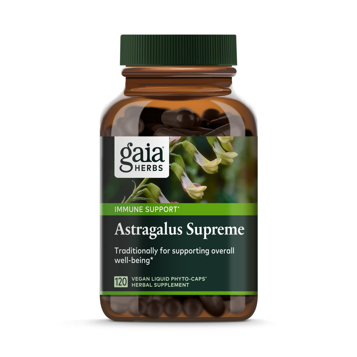 Gaia Herbs Astragalus Supreme - Immune and Antioxidant Support Herbal Supplement 