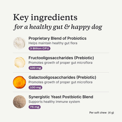 PetLab Co. Probiotic Chews, 30 Soft Chews, 2-Pack, Salmon | 8-strain probiotic blend with prebiotics to support digestive health, skin and seasonal allergy support