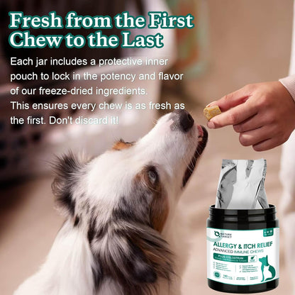 NATURE TARGET Dog Allergy Chews, Skin & Gut, Real Chicken, Freeze-Dried | Probiotics & Colostrum, Omega 3, Soothes Hot Spots, Stops Paw Licking, Digestive Health, Daily Immune Support, 120 Chews