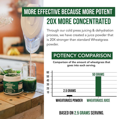 Organic Wheatgrass Juice Powder - Organic, Grown in Volcanic Soil of Utah - Raw BioActive Form, Cold-Pressed Then CO2 Dried, 20:1 Concentrate Juice Extract - Unflavored (5.3 oz – 60 Servings)