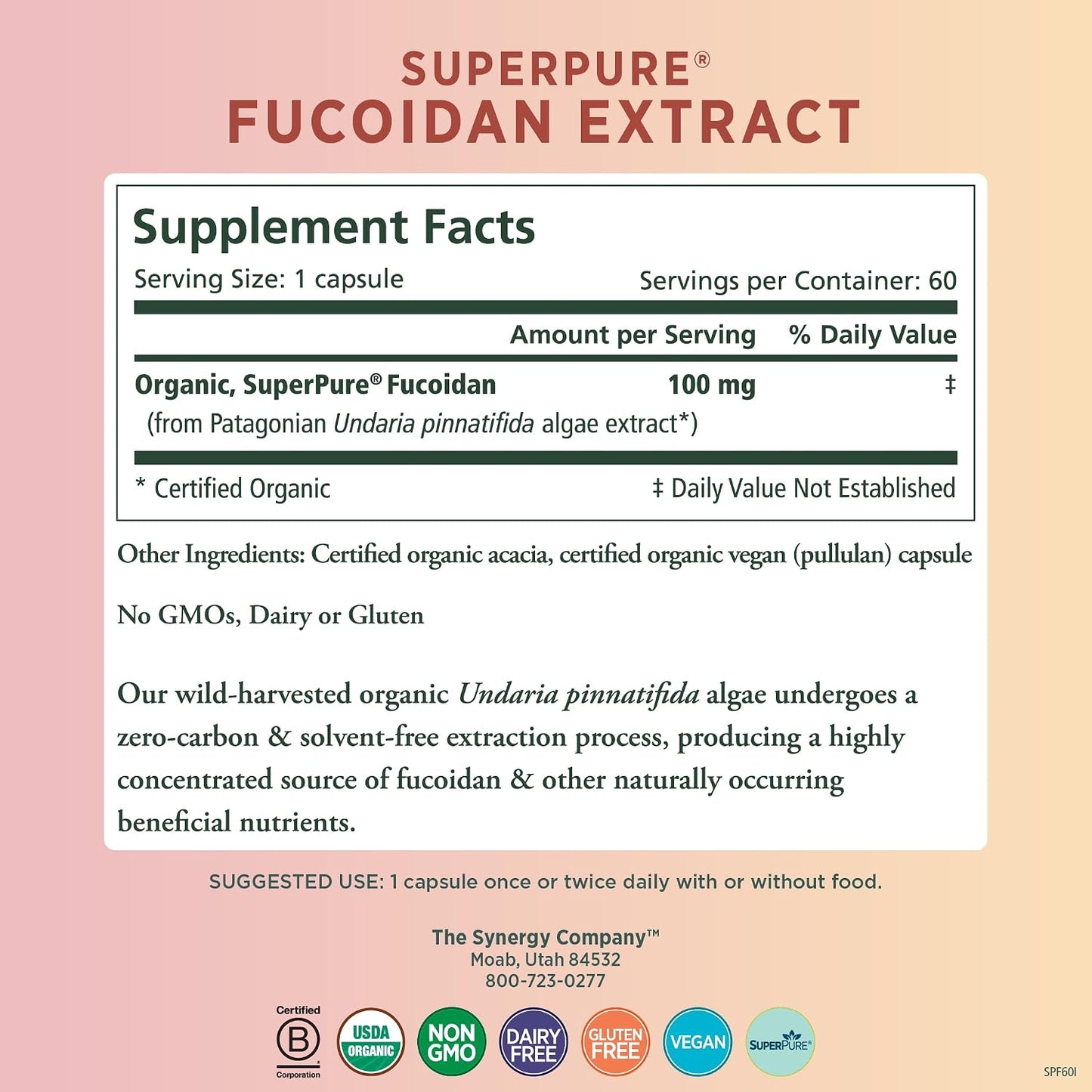 PURE SYNERGY SuperPure Fucoidan Extract | Gluten-Free Fucoidan from Organic Brown Seaweed | for Immune Health, Digestion, and Healthy Aging (60 Capsules)