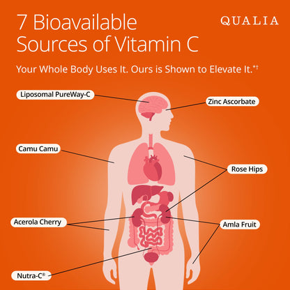 Qualia Vitamin C+ | Clinically Studied, Doctor Formulated | 7 High-Absorption Forms Including Liposomal PureWay-C®, Chelated & Food-Sourced with Citrus Bioflavonoids, Zinc, & Rose Hips | 500 mg