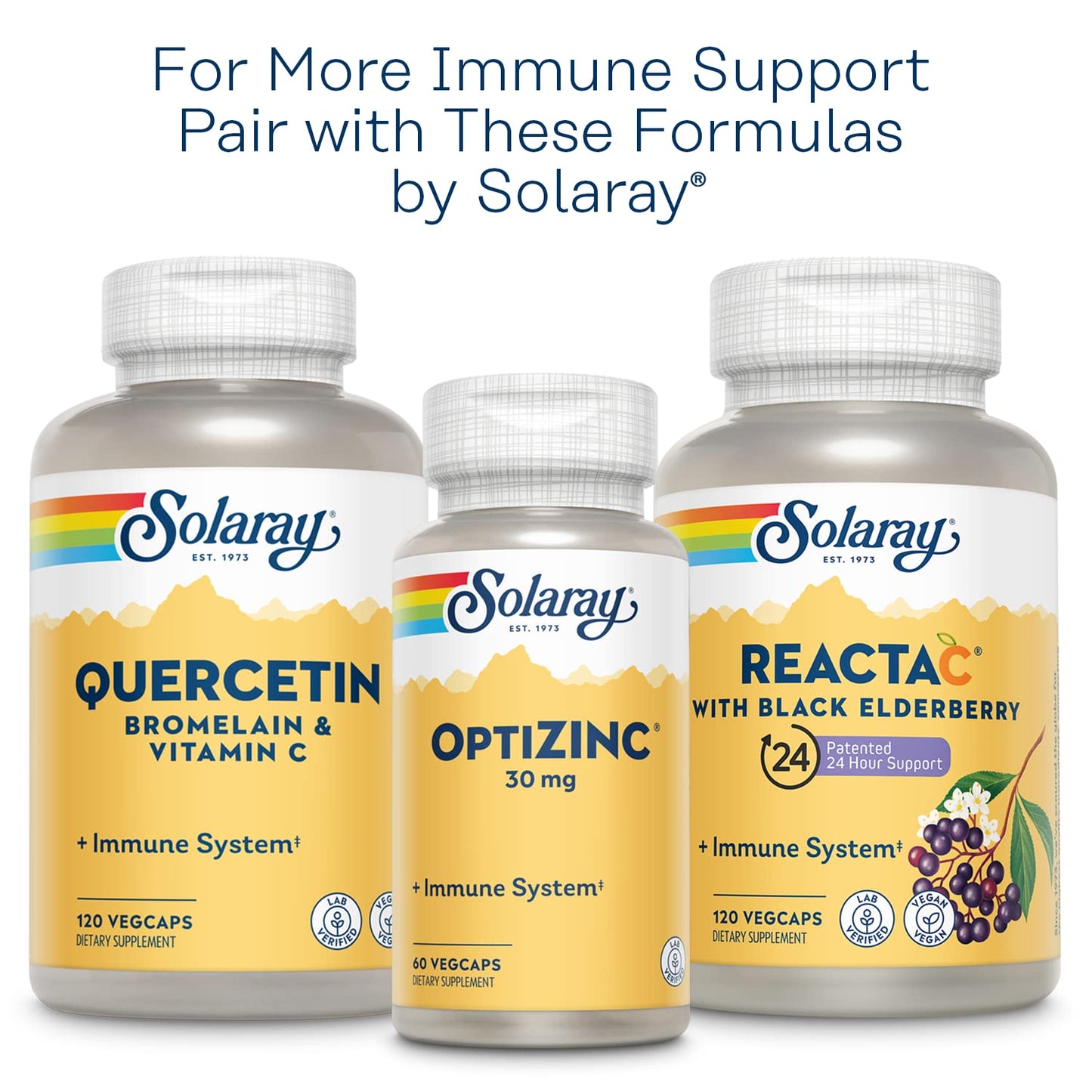 SOLARAY L-Lysine Monolaurin Immune Support Supplement, 1:1 Ratio for Immune System Function, 500 mg Each, 30 Servings, 60 VegCaps