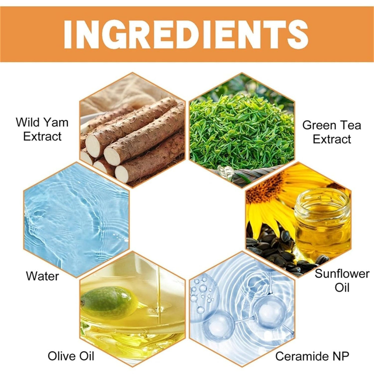 tebazoew Wild Yam Cream - Wild Yam Cream Organic for Hormone Balance