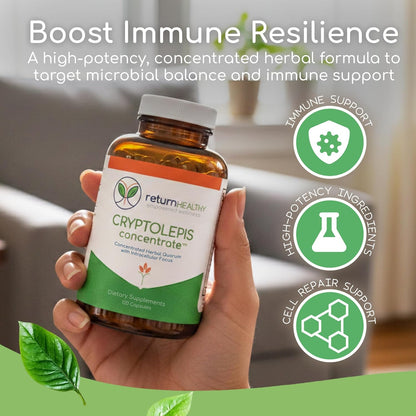 Cryptolepis Concentrate, Immune Support with Cryptolepis Sanguinolenta for Immunity Boost, Concentrated Herbal Supplements, Antioxidant & Health Supplement, 120 Capsules