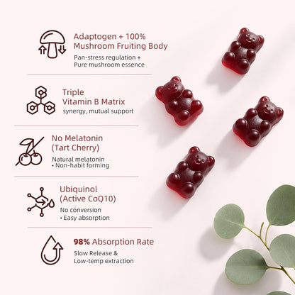 GABA & Mushroom Gummies Supplement for Sleep & Brain Support,Extra Strength | Plus Mushroom Complex, 5‑HTP & Tart Cherry, No Melatonin for Natural Sleep, Berry Flavor-Sugar Free, 60 Gummies