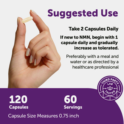 Micro Ingredients NMN Complex 1000mg Per Serving, 120 Veggie Capsules | 10-in-1 with Nicotinamide Mononucleotide, Resveratrol, CoQ10, Quercetin & Glutathione | NAD+ Supplement Precursor | Filler Free