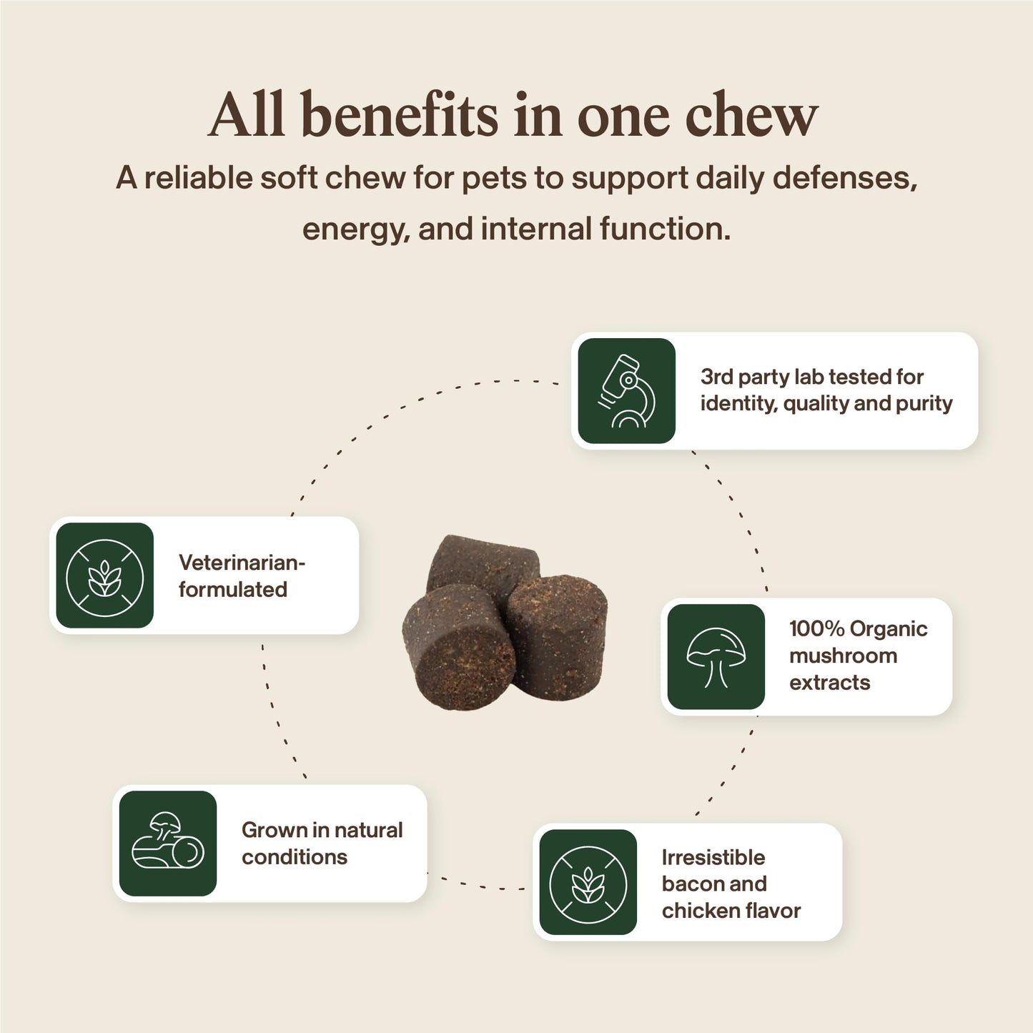 Real Mushroom Immune Pet Chews – For Daily Digestive & Immune Health – Mushrooms for Dogs & Cats Functional Treat – Mushroom Supplement for Dogs & Cats – 1 to 4 Chews For All Breeds & Sizes (60 Count)