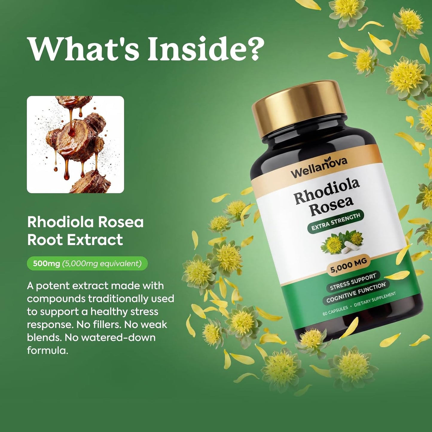 Rhodiola Rosea Supplement Capsules - Extra Strength 10:1 Root Extract 500 mg Equivalent to 5,000 mg Whole Rhodiola - Adaptogenic Herb for Stress Support & Cognitive Function - 60 Capsules