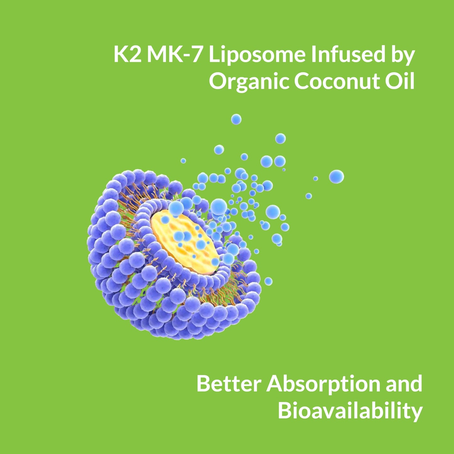 UpNourish Liposomal D3 K2 MK-7 – 365 Mini softgels with Organic Coconut Oil - 5000 IU 125 mcg Vitamin D3 and 100 mcg Vitamin k2 for Optimal Bone and Immune Health