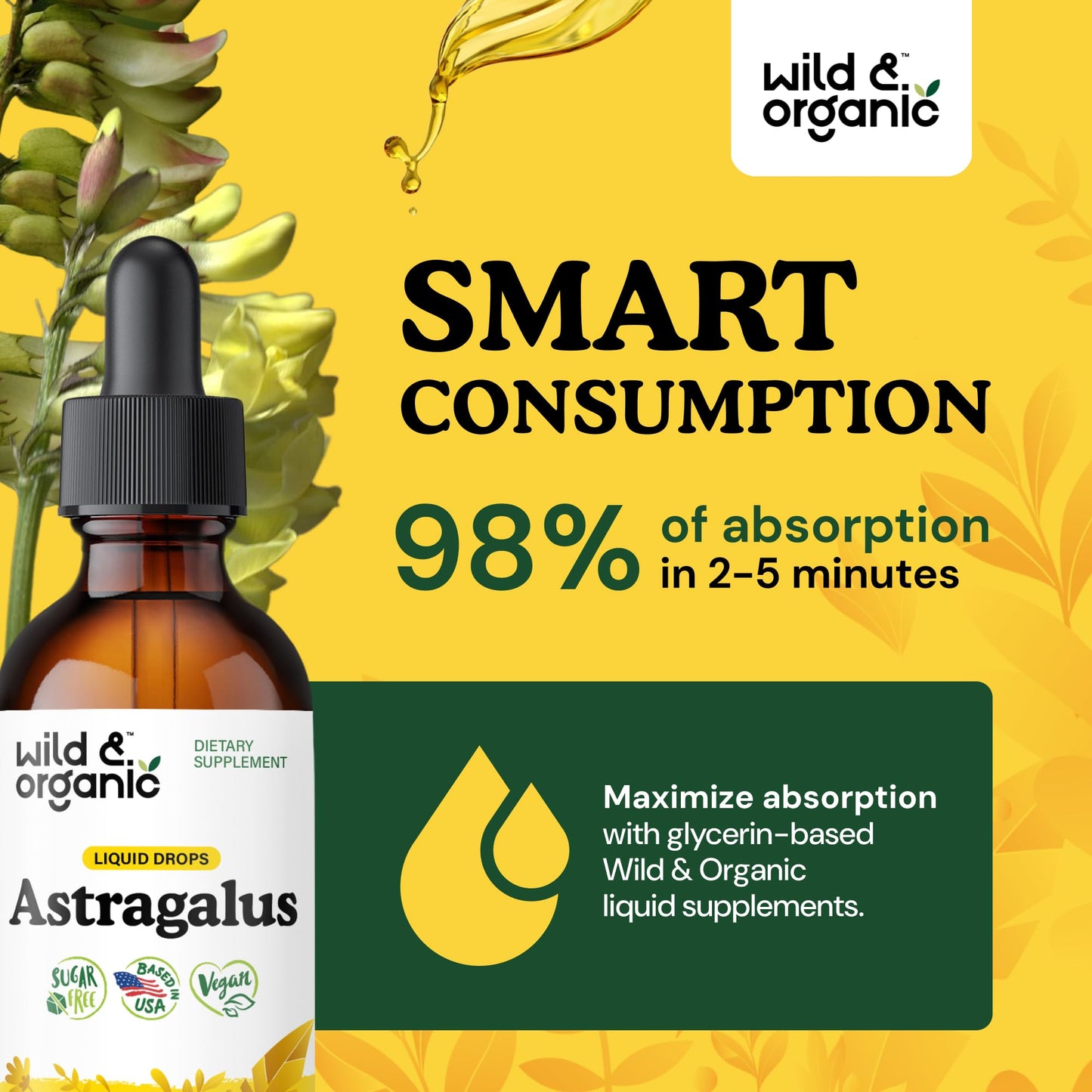 Wild & Organic Astragalus Root Extract Drops - Immune Support - Liquid Astragalus Supplement - Add to Tea & Mix with Powder - Membranaceus Herb - Vegan, Sugar & Alcohol-Free Tincture - 4 fl oz