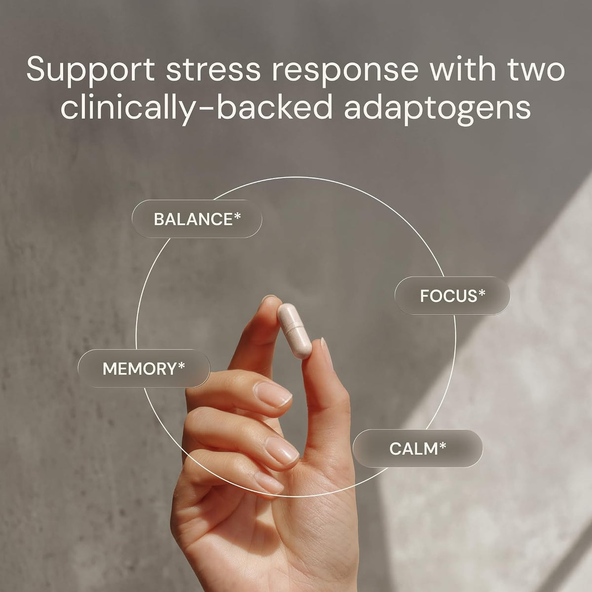 Blueprint Bryan Johnson Ashwagandha & Rhodiola Supplement – 120mg Ashwagandha + Rhodiola Root – Daily Adaptogen Capsules for Stress Support, Mood Balance, Energy & Focus – 30 Vegan Capsules
