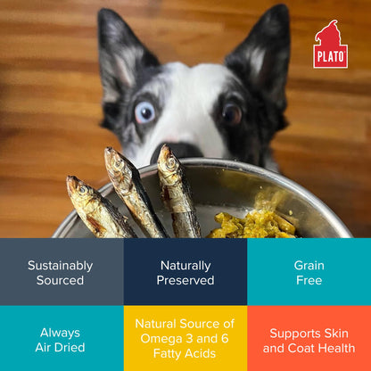 Plato Pet Treats Fish Dog Treats - Air-Dried, Single Ingredient Pet Treat - Omega 3 & 6 Fatty Acids to Support Skin and Coat - 100% Whole Fish - Wild Caught Baltic Sprat - 3 oz - 2 Pack