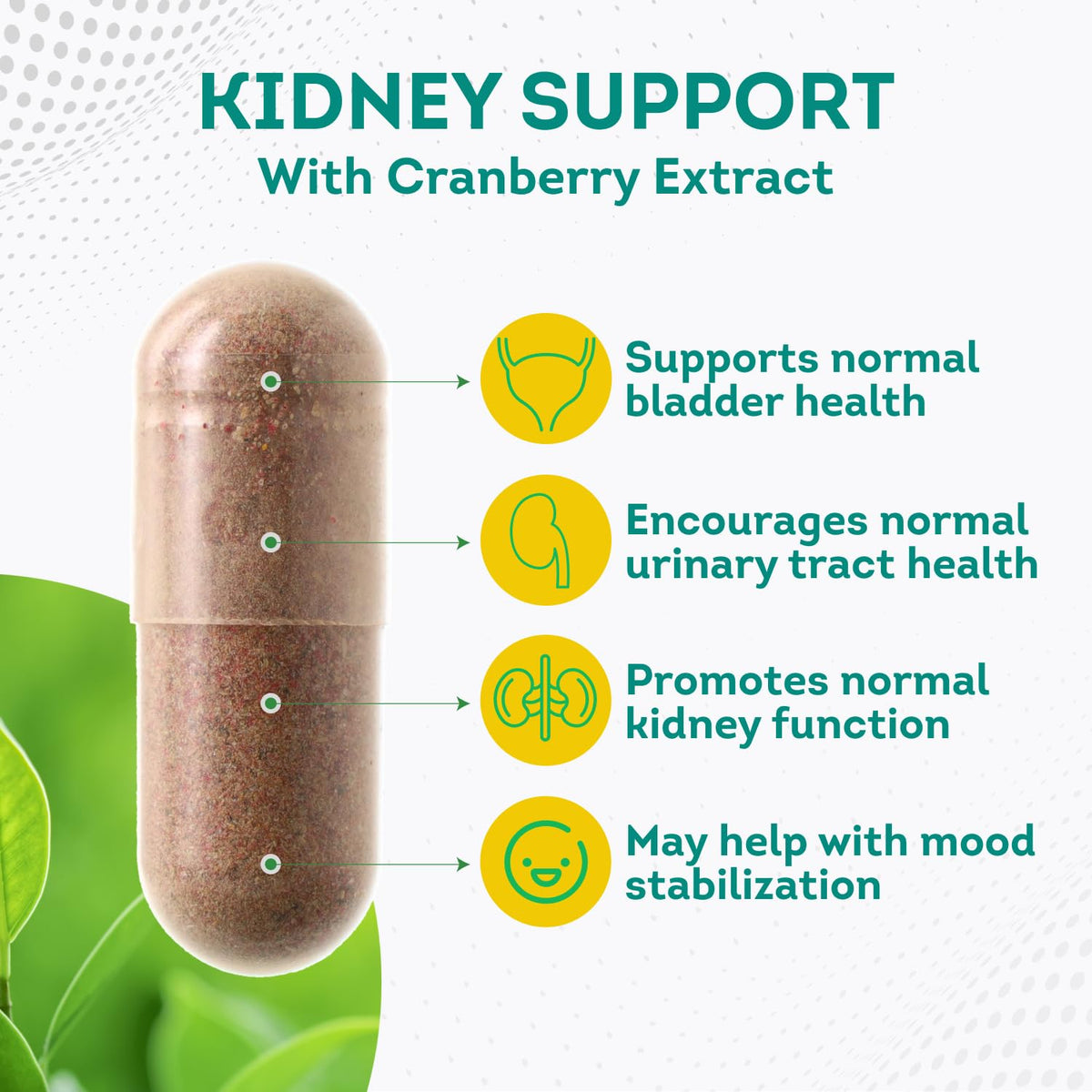 PurePremium Kidney Support Supplement with Cranberry Extract - Kidney Cleanse, Detox