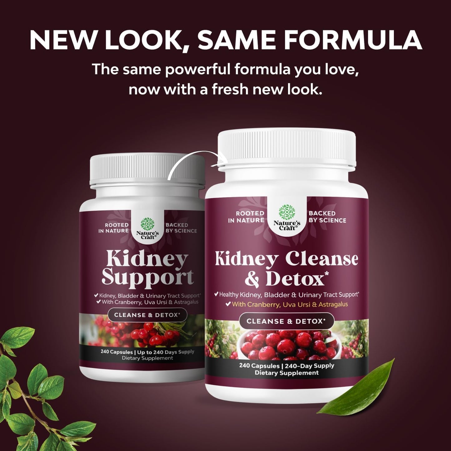 Advanced Kidney Support Supplement - Kidney Cleanse Detox & Repair Cranberry Extract Capsules with Uva Ursi, Stinging Nettle & Astragalus for Kidney Health - Urinary Tract Health - 60 Count
