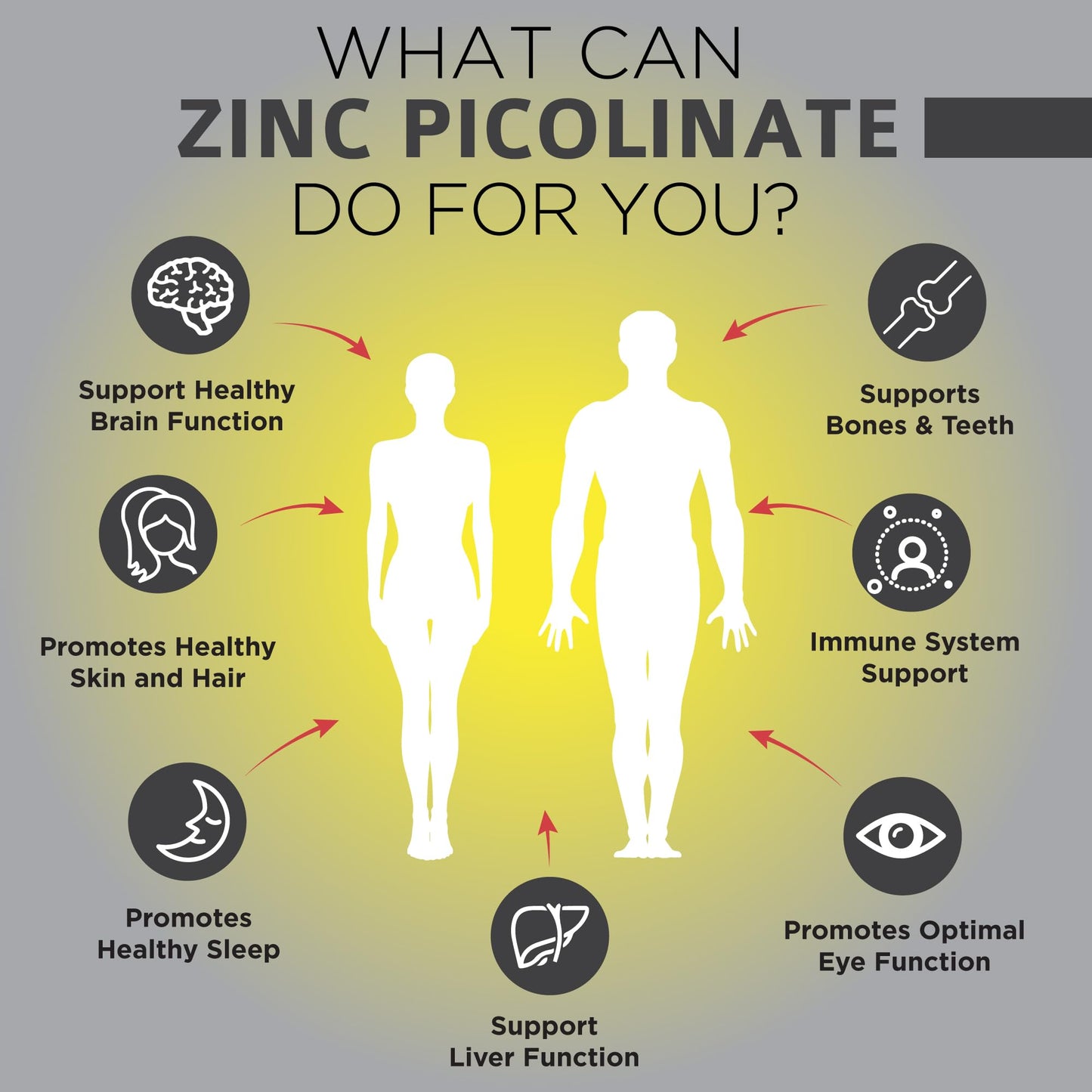 OmniBiotics Zinc Picolinate 30mg Supplement – High Absorption Zinc for Immune System, Healthy Skin, and Energy Support – 180 Vegan Capsules