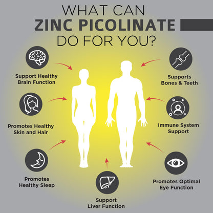 OmniBiotics Zinc Picolinate 30mg Supplement – High Absorption Zinc for Immune System, Healthy Skin, and Energy Support – 180 Vegan Capsules