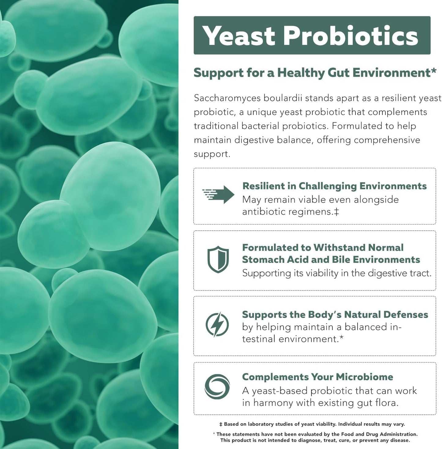 Organic Saccharomyces Boulardii - 10 Billion CFU - Clinically Validated CNCM I-1079 Probiotic Strain - Gut, Digestion & Healthy Bowel Support - First Organic Form of S. Boulardii Probiotic - 60 Count