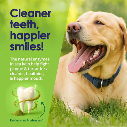 Dog Teeth Cleaning Powder, Dog Plaque and Tartar Remover, Bad Breath Treatment for Dogs with USDA Organic Sea Kelp Powder, Dog Dental Care Made Easy, for All Ages, 12 oz