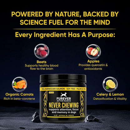 Furever Active Pet Neuro Chewing, Formulated with Organic Carrots, Celery, Lemon, Beets, Support Brain Health in Dogs, Overall Cognitive Performance, Memory and Alertness | 6oz, 85 Chews (1)