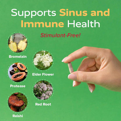 Redd Remedies, SinuZyme, Supports Sinus and Immune Health, 40 Vegan Capsules