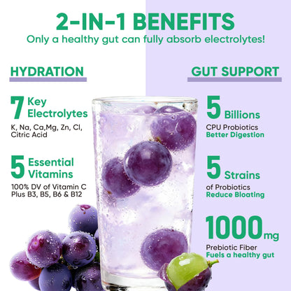 Venture Pal Sugar Free Hydration Packets + Gut Health Electrolytes Powder | Liquid Daily IV with 7 Electrolytes, 5 Vitamins, Probiotics & Fiber for Dehydration Relief and Gut Health Support