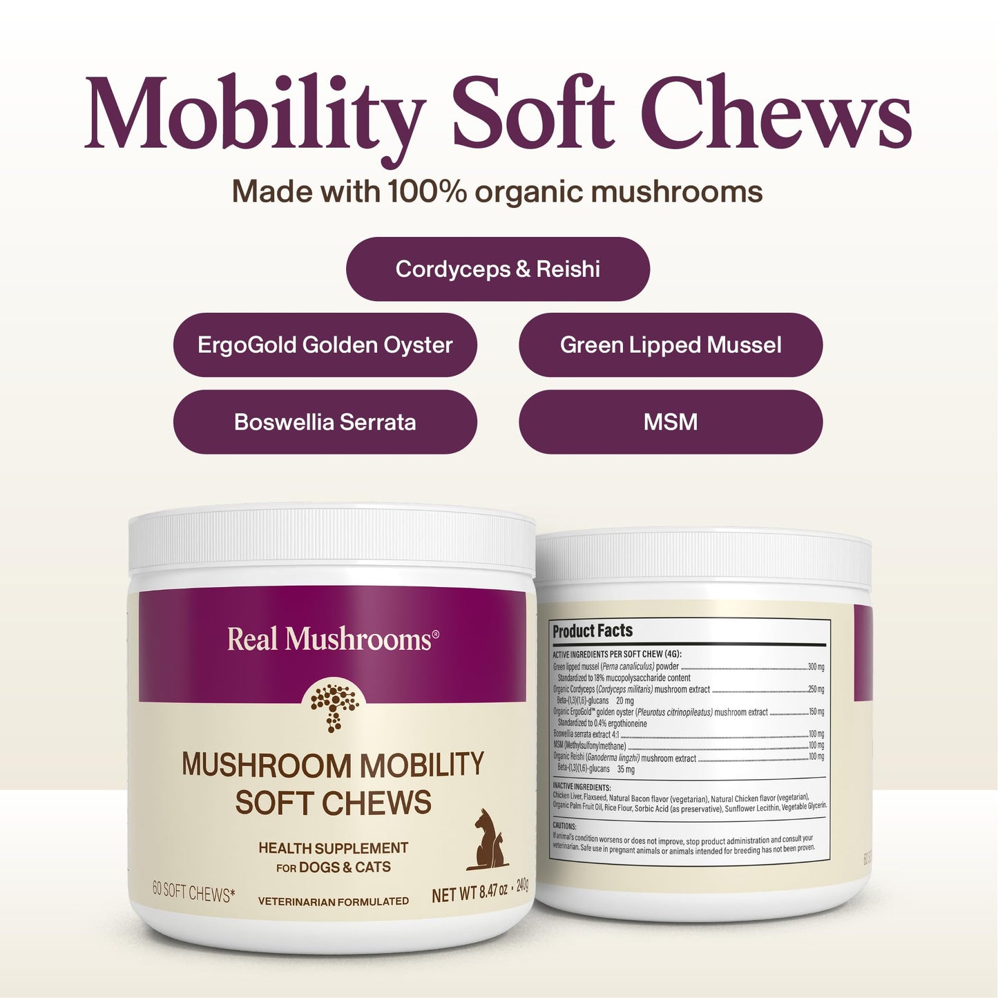 Real Mushroom Immune Pet Chews – For Daily Digestive & Immune Health – Mushrooms for Dogs & Cats Functional Treat – Mushroom Supplement for Dogs & Cats – 1 to 4 Chews For All Breeds & Sizes (60 Count)
