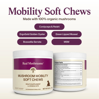 Real Mushroom Immune Pet Chews – For Daily Digestive & Immune Health – Mushrooms for Dogs & Cats Functional Treat – Mushroom Supplement for Dogs & Cats – 1 to 4 Chews For All Breeds & Sizes (60 Count)