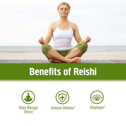 Om Mushroom Superfood Reishi Organic Mushroom Powder, 100 Servings, Organic Adaptogen Powder for Stress Relief and Immune Health