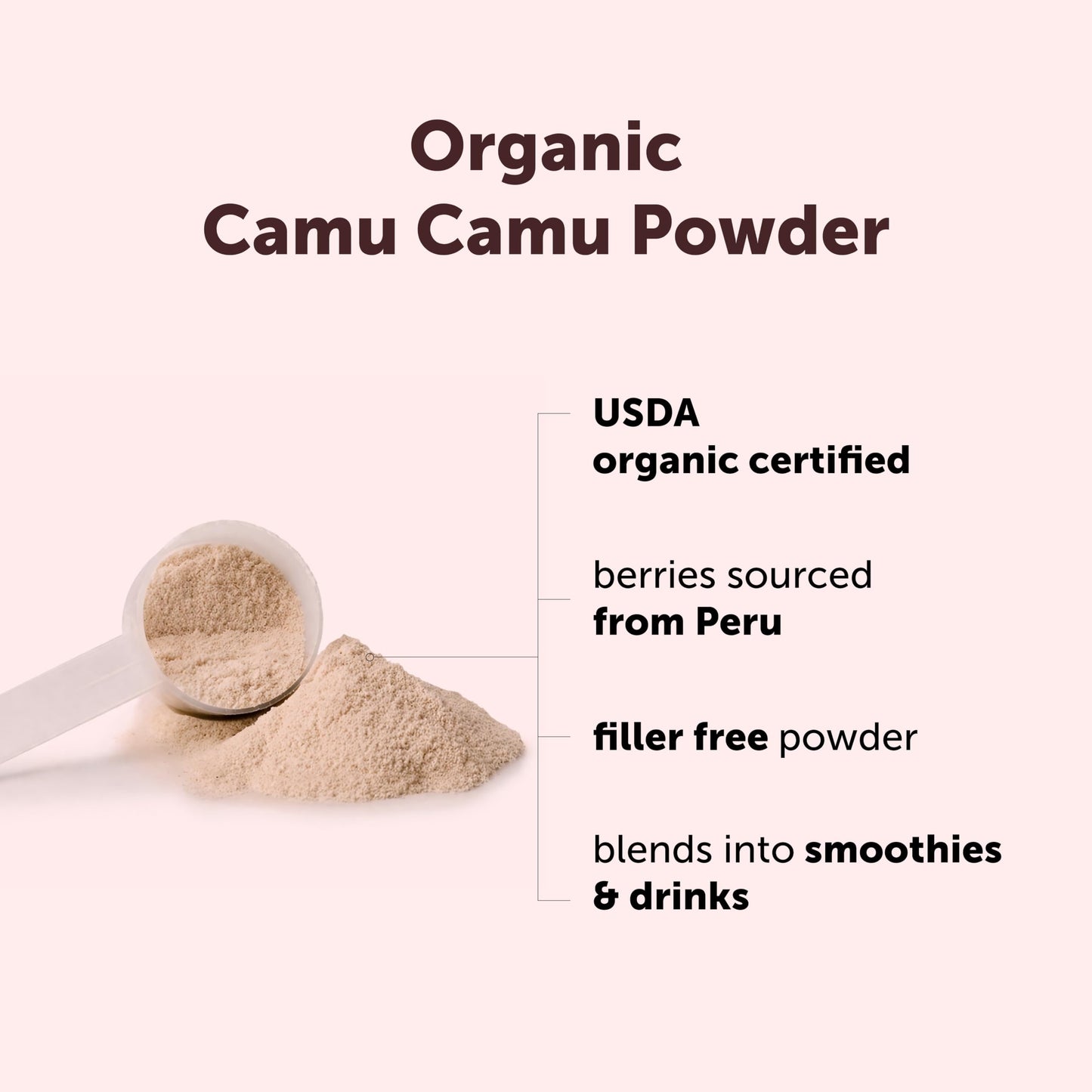 Micro Ingredients Organic Camu Camu Powder, 12 oz | Freshly Harvested Berry | Source of Naturally Occurring Vitamin C | Non-GMO, Vegan Friendly