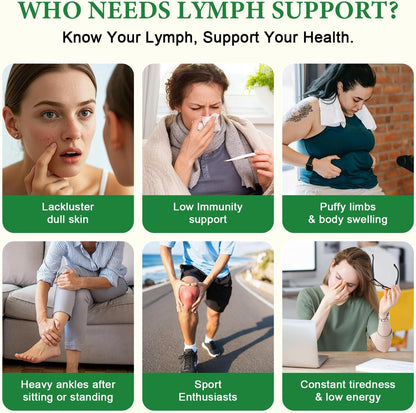 GORNVB Lymphatic Drainage Drops, Lymphatic Drainage Supplements with Echinacea, Cleavers, Dandelion, Red Clover, Horse Chestnut for Swelling Relief, Heavy Legs, Immune & Detox Support, Vegan, 2 fl oz