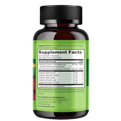 NATURELO Vegan Iron Supplement with Vitamin C and Organic Whole Foods - Gentle Iron Pills for Women & Men with Iron Deficiency Including Pregnancy, Anemia and Vegan Diets - 90 Mini Capsules