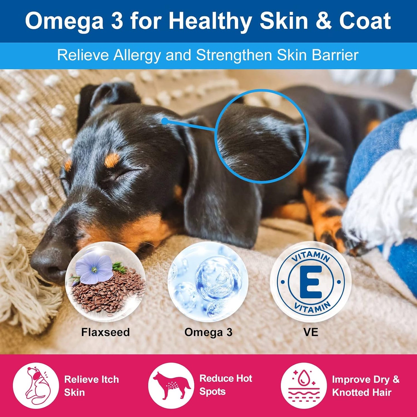 NATURE TARGET Dog Vitamins Powder, Probiotics & Digestive Enzymes for Gut Health, Glucosamine & Chondroitin & Omega 3, Complete Supplement for Homemade Dog Food, Joint & Skin & Immune Support | Probiotics & Digestive Enzymes for Gut Health, Glucosamine &
