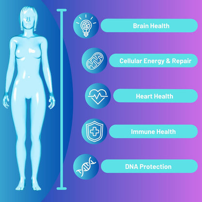Advanced Bionetix NAD Supplement with Nicotinamide Riboside Plus Resveratrol, Quercetin, Betaine w/RiboYOUNG™ for True Anti Aging