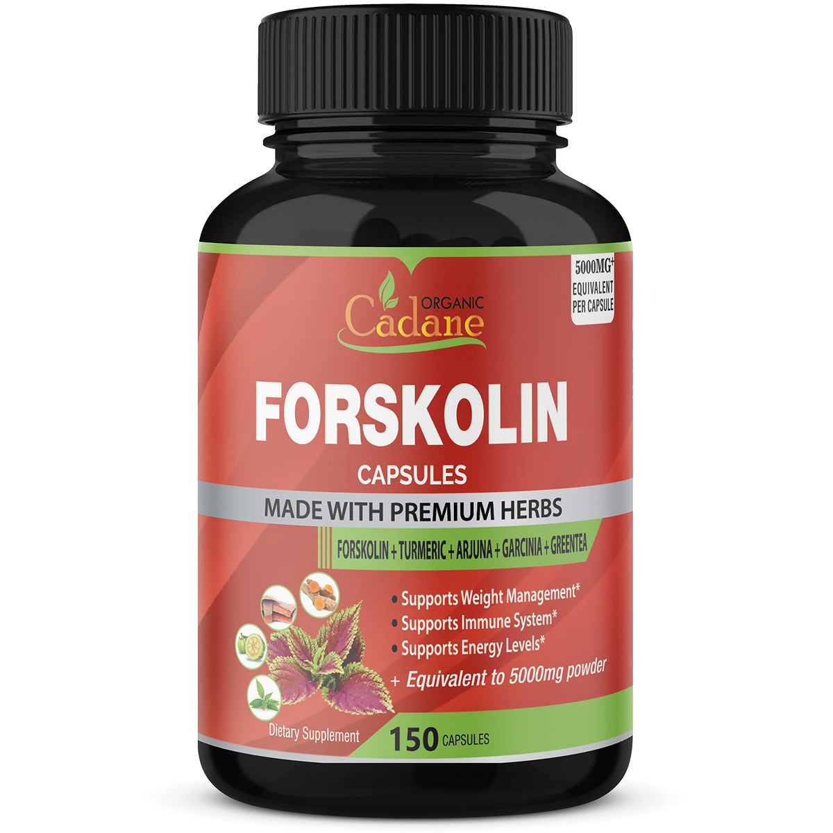 Forskolin Supplements Capsules 5000mg, 5 Month Supply, 150 Capsules & Turmeric Curcumin