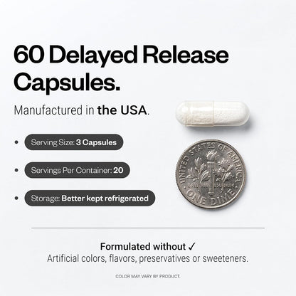 Supersmart Bifidobacterium Longum (BB536) 6 Billion CFU per Day - Probiotics & Prebiotics Supplement | Non-GMO & Gluten Free - 60 DR Capsules | Improves Bowel Disorders - Strengthens the Immune System - Reduces Pollen Allergy Symptoms