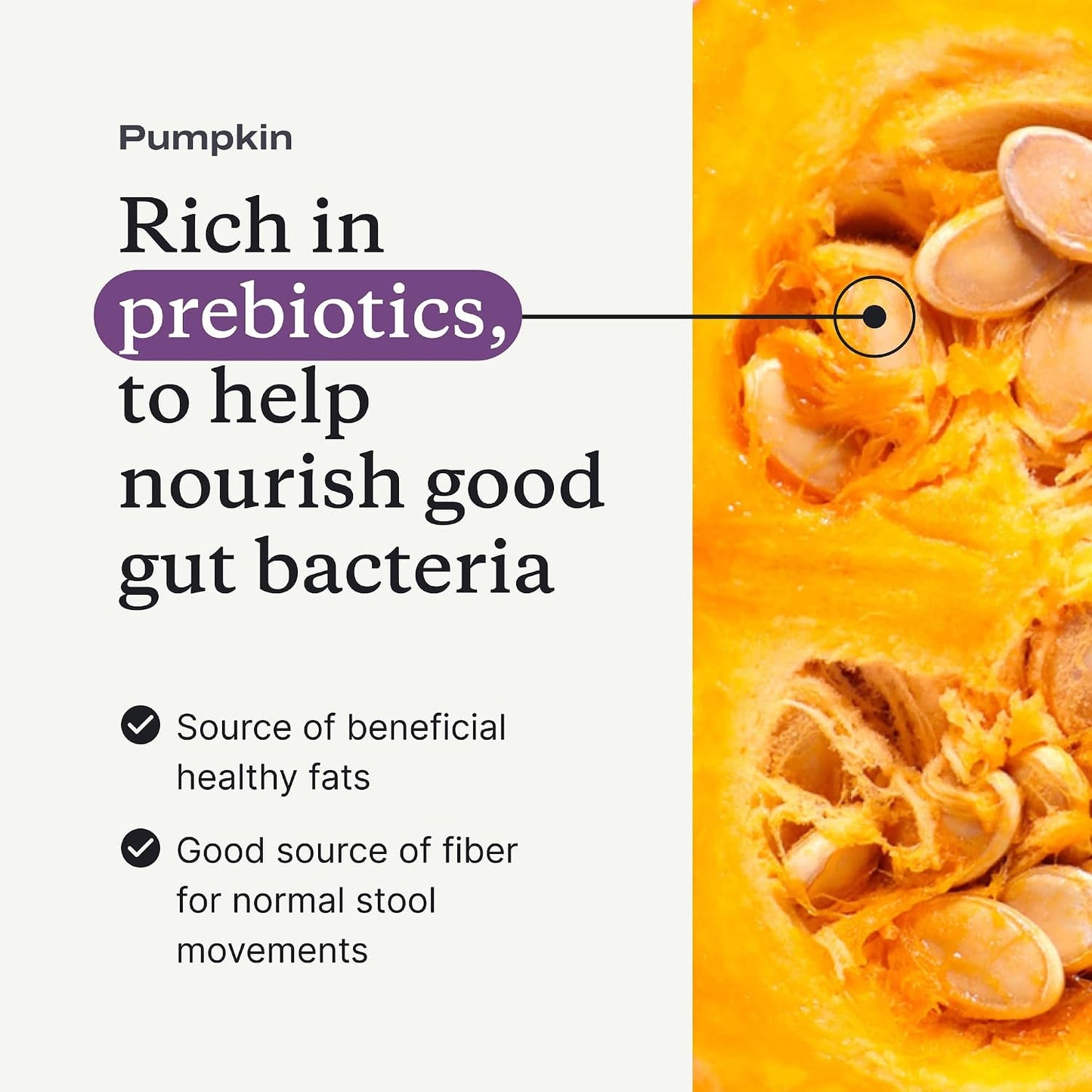 PetLab Co. Pumpkin Powder for Dogs, Supplement Powder | Fiber-rich prebiotic powder sprinkled onto food to support firm stools and a balanced gut