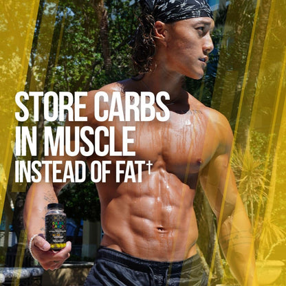 ALPHA LION Gains Candy, Supplement Pills that Support Weight Loss, Appetite Suppressant, Keto-Diet Friendly, Decrease Body Fat, Upgrade Energy & Workout Performance, 60 Capsules (MitoBurn®)