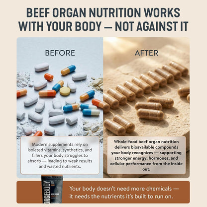 Forgebody Beef Liver & Organ Complex, Grass-Fed 5-Organ Supplement, 1 Month | Grass-fed beef liver, heart, bone marrow, pancreas, testicles, freeze-dried, non-GMO, ancestral nose-to-tail nutrition