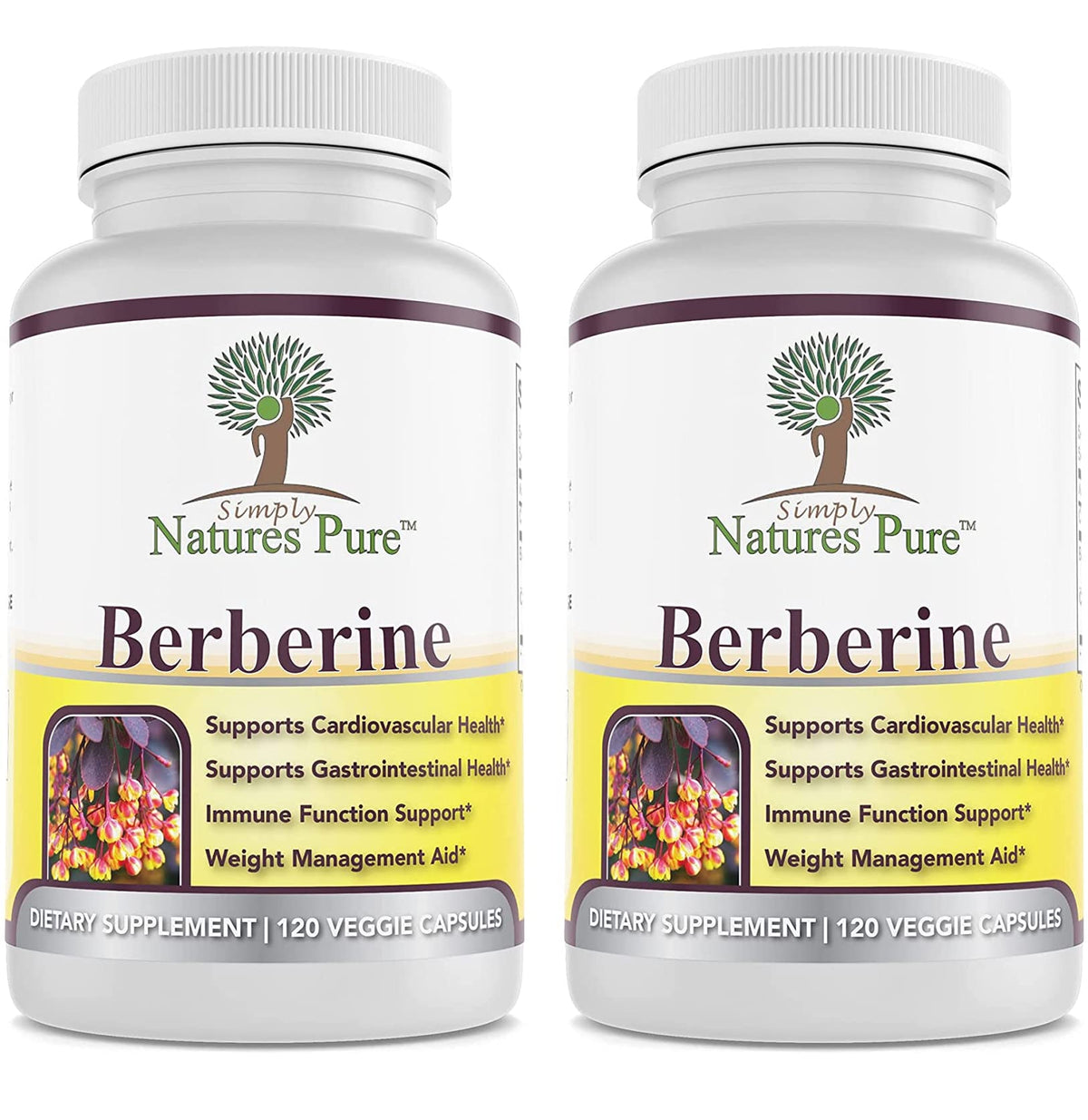Simply Natures Pure Premium Berberine HCl 500mg - 120 Capsules - Cardiovascular Gastrointestinal Immune Support - Chromium Cinnamon