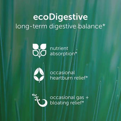 EcoNugenics EcoDigest Digestive Health Supplement - 60 Capsules- Digestive Support - Herbs, Medicinal Mushrooms & Enzymes