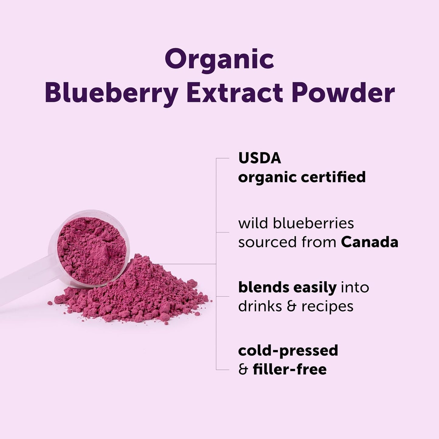 Micro Ingredients Organic Blueberry Extract Powder, 10oz | Natural Fruit Flavor | Freeze-Dried Wild Blueberries Source | No Sugar & Additives | Great for Drinks, Smoothie, & Beverages | Non-GMO & Vegan