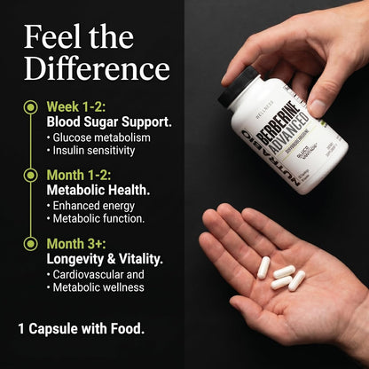 NutraBio Berberine Advanced Supplement (Dihydroberberine), 200 mg - Provides Advanced Absorption Carbohydrate Tolerance Support, 60 Caps