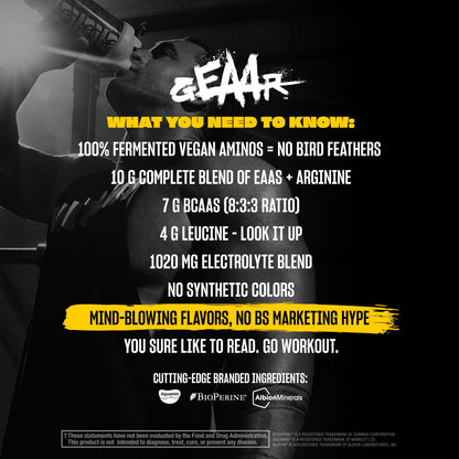 Mutant GEAAR - 9.4g of EAA Powder + Arginine, 7g BCAAs, 4g Leucine, Electrolytes, Coconut Water, 30 Servings - Fruit Punch