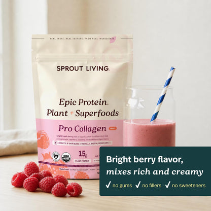 Sprout Living Epic Protein, Plant Based Protein & Superfoods Powder, Vanilla Lucuma Powder | 20 Grams Organic Protein Powder, Vegan, Non Dairy, Non-GMO, Gluten Free, Low Sugar (1 Pound, 12 Servings)